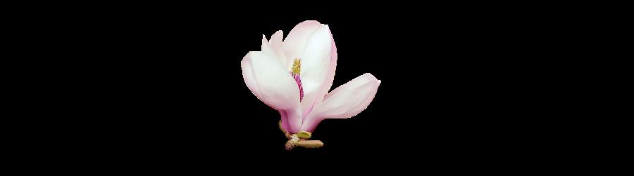 ĬJ(rn)(bio)}